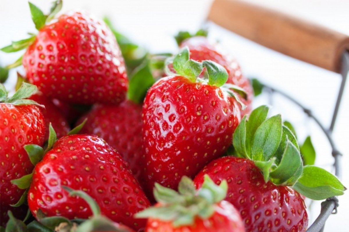 strawberry benefits saluzzo 2