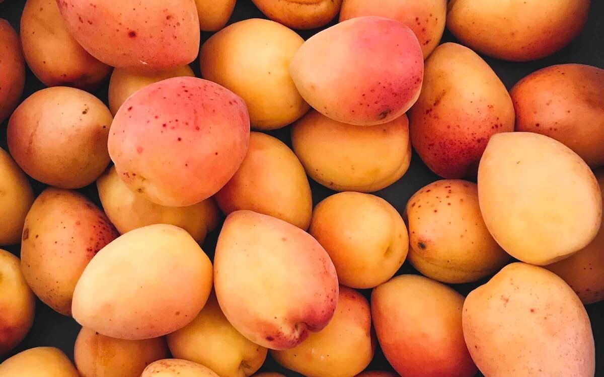 mango congelado en trozos proveedores de mango congelado Costa Rica tommy