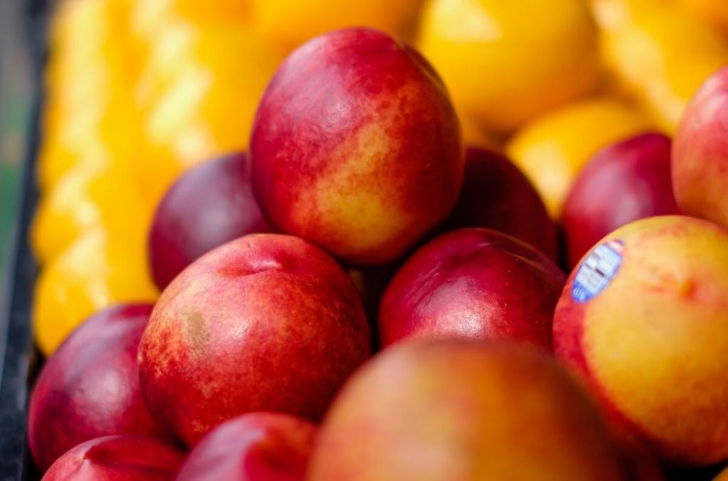 manzanas costa rica roja alimentos congelados vs alimentos frescos