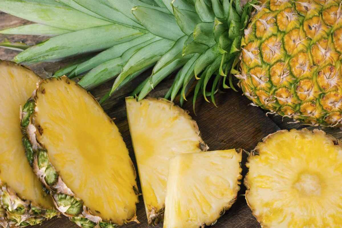 pineapple benefits saluzzo frozen pineapple suppliers in Costa Rica