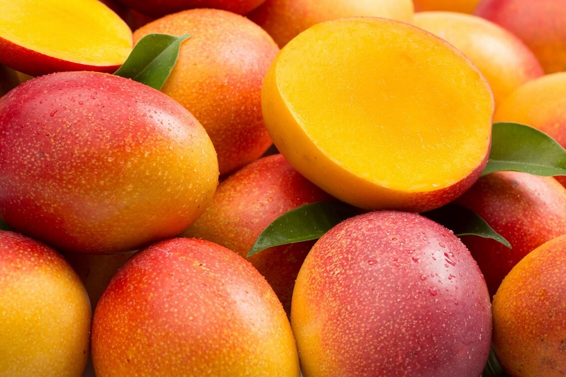 proveedores de mango congelado en Costa Rica exportaciones