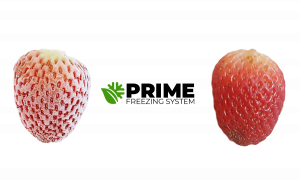 prime freezing system iqf strawberries frozen