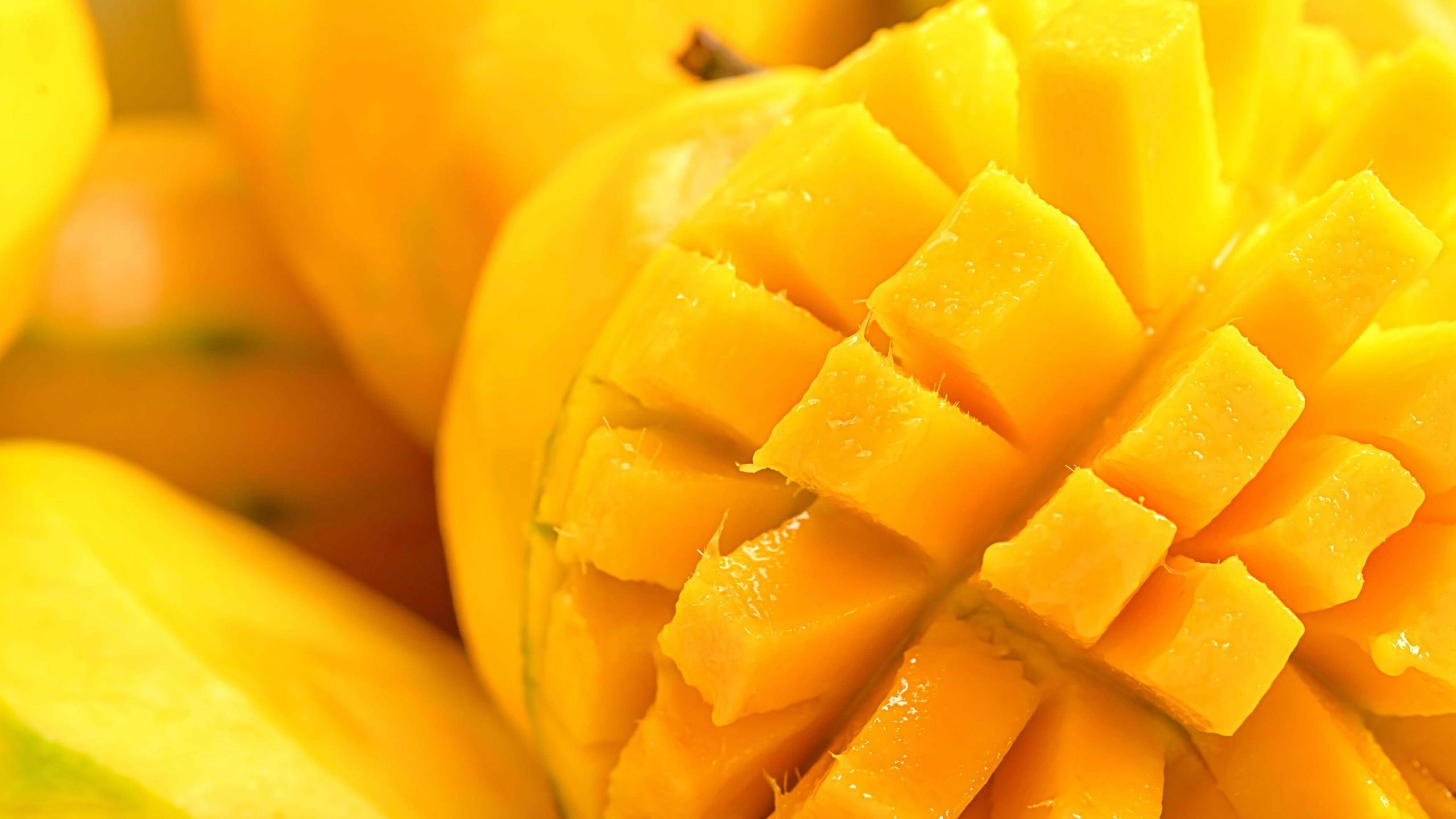 saluzzo 6 Benefits and Properties of Frozen Mango