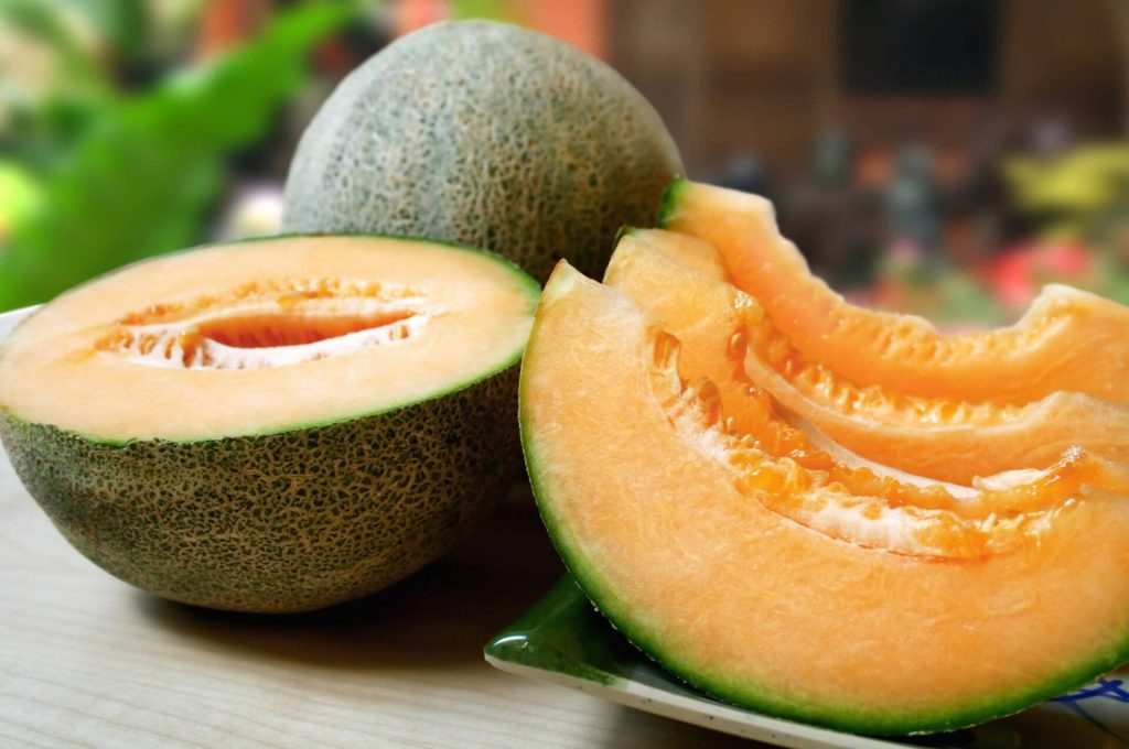 melón congelado en costa rica chunks exportaciones saluzzo pfs