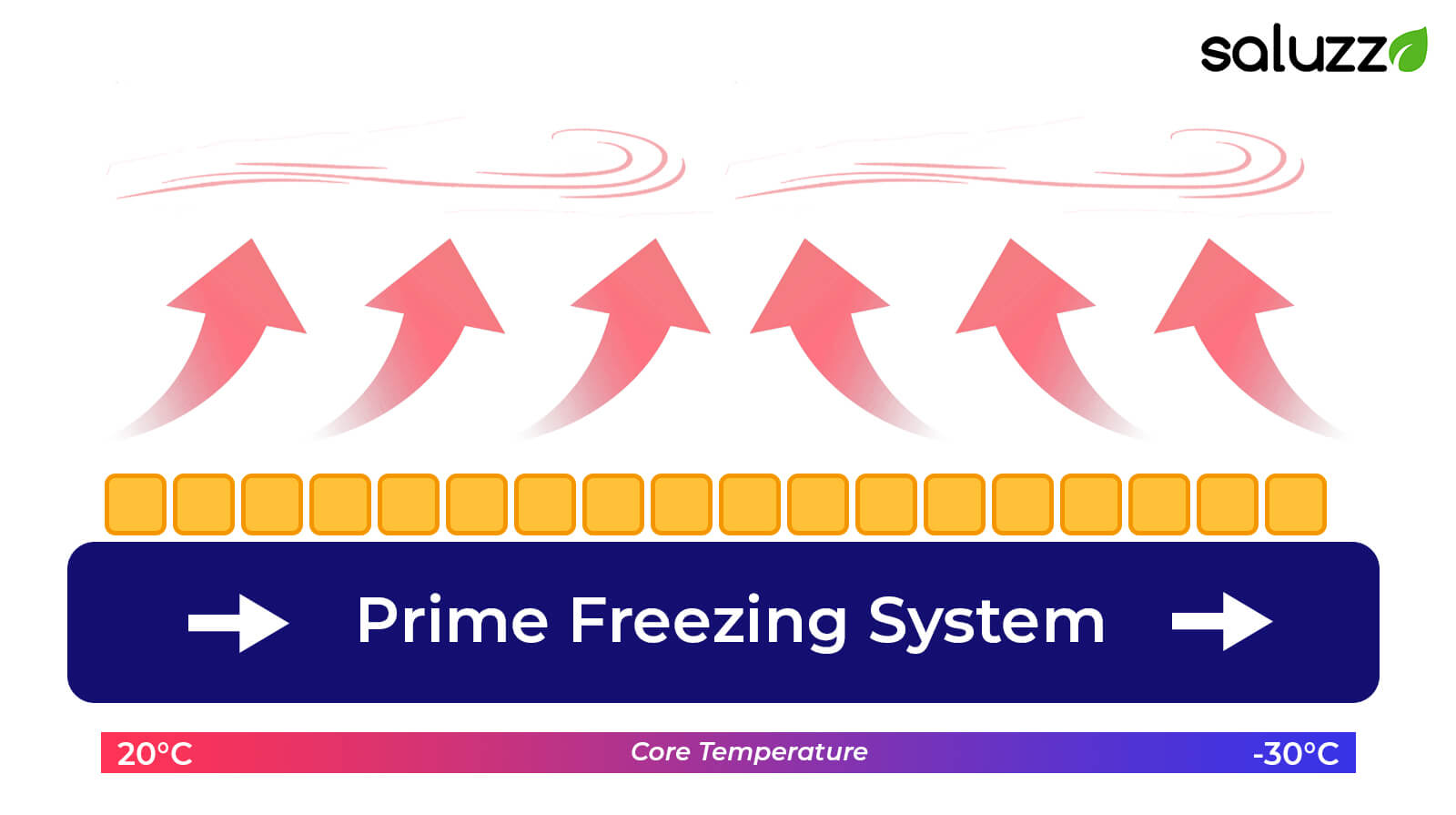 prime freezing system costa rica saluzzo