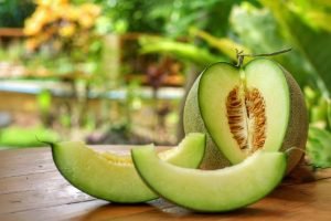 variedades de melón honeydew costa rica varieties of melon