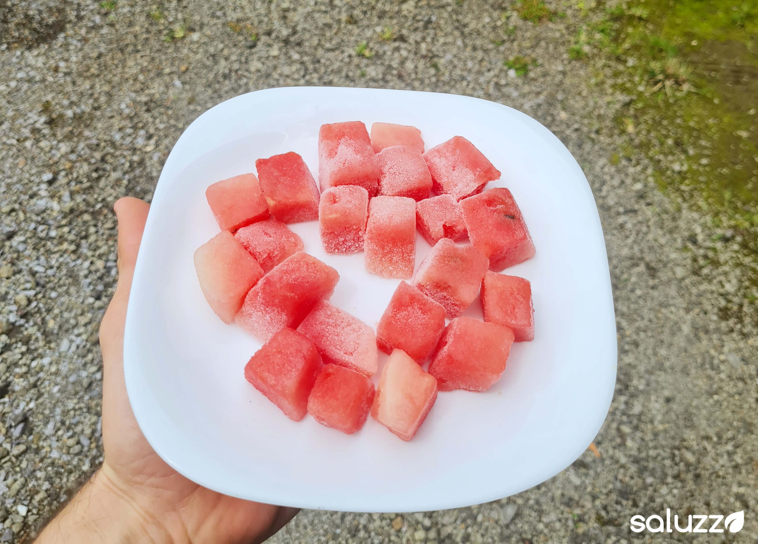 iqf watermelon chunks pfs prime freezing system saluzzo