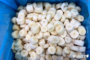 iqf banana prime freezing system frozen banana slices