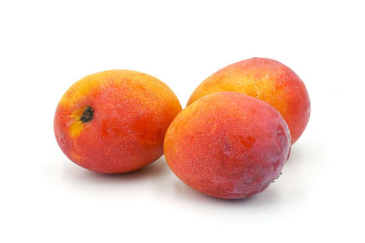 saluzzo congelados variedades de mango de Costa Rica