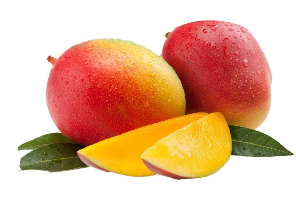 7 variedades de mango de Costa Rica